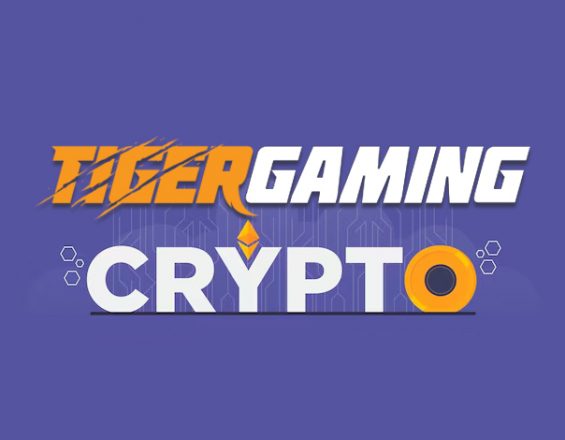 Крипта в TigerGaming